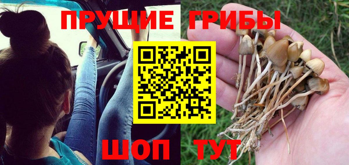 Псилоцибиновые грибы Psilocybe  Галлюциногенные грибы Cubensis  Вход с VPN  Полысаево 