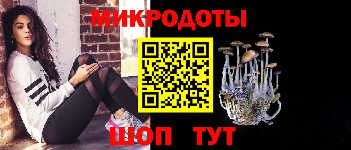 Псилоцибиновые грибы прущие грибы Полысаево